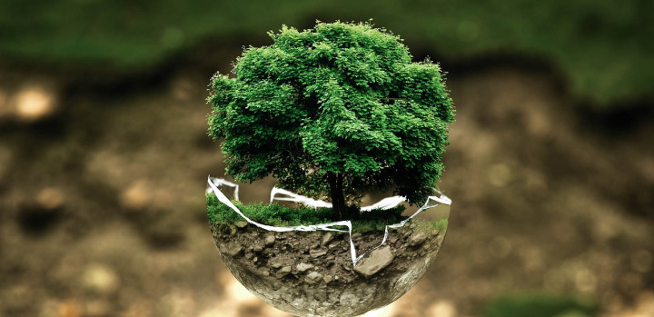Environnement et développement durable